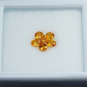 พลอยร้านเจมส์อินเลิฟ , GemInLove Gemstone