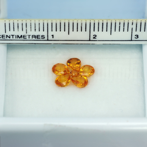 พลอยร้านเจมส์อินเลิฟ , GemInLove Gemstone 