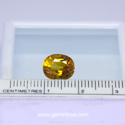 พลอยร้านเจมส์อินเลิฟ , GemInLove Gemstone 