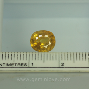 พลอยร้านเจมส์อินเลิฟ , GemInLove Gemstone
