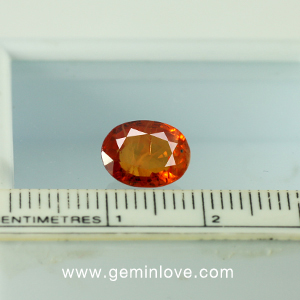 พลอยร้านเจมส์อินเลิฟ , GemInLove Gemstone 