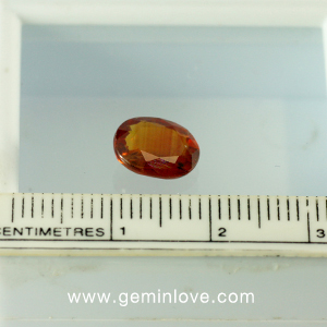 พลอยร้านเจมส์อินเลิฟ , GemInLove Gemstone 