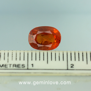 พลอยร้านเจมส์อินเลิฟ , GemInLove Gemstone 
