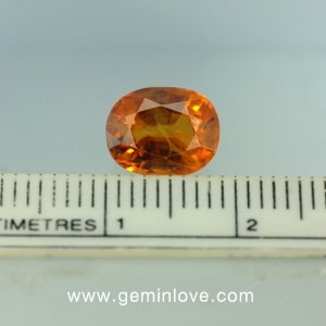 พลอยร้านเจมส์อินเลิฟ , GemInLove Gemstone 